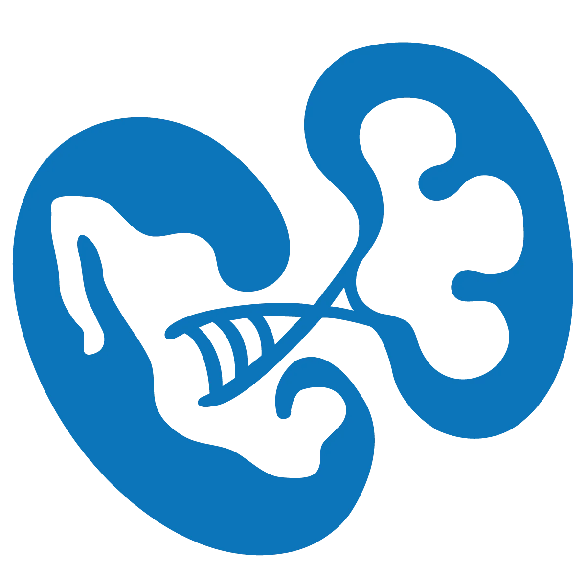 IMIN - Instituto Mexicano de Investigaciones Nefrológicas